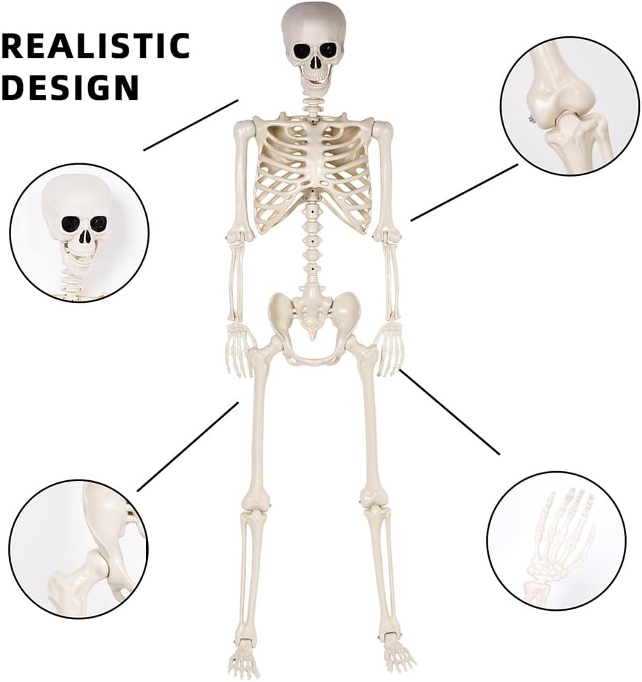 Halloween Skeletons Decorations - 5.4FT Life Size Posable Skeletons, Realistic Plastic Full Body Skeletons for Halloween Party Outdoor Haunted House Graveyard Decor